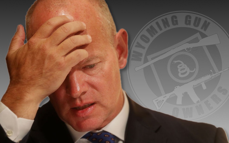 Governor Mead to Veto HB 137?