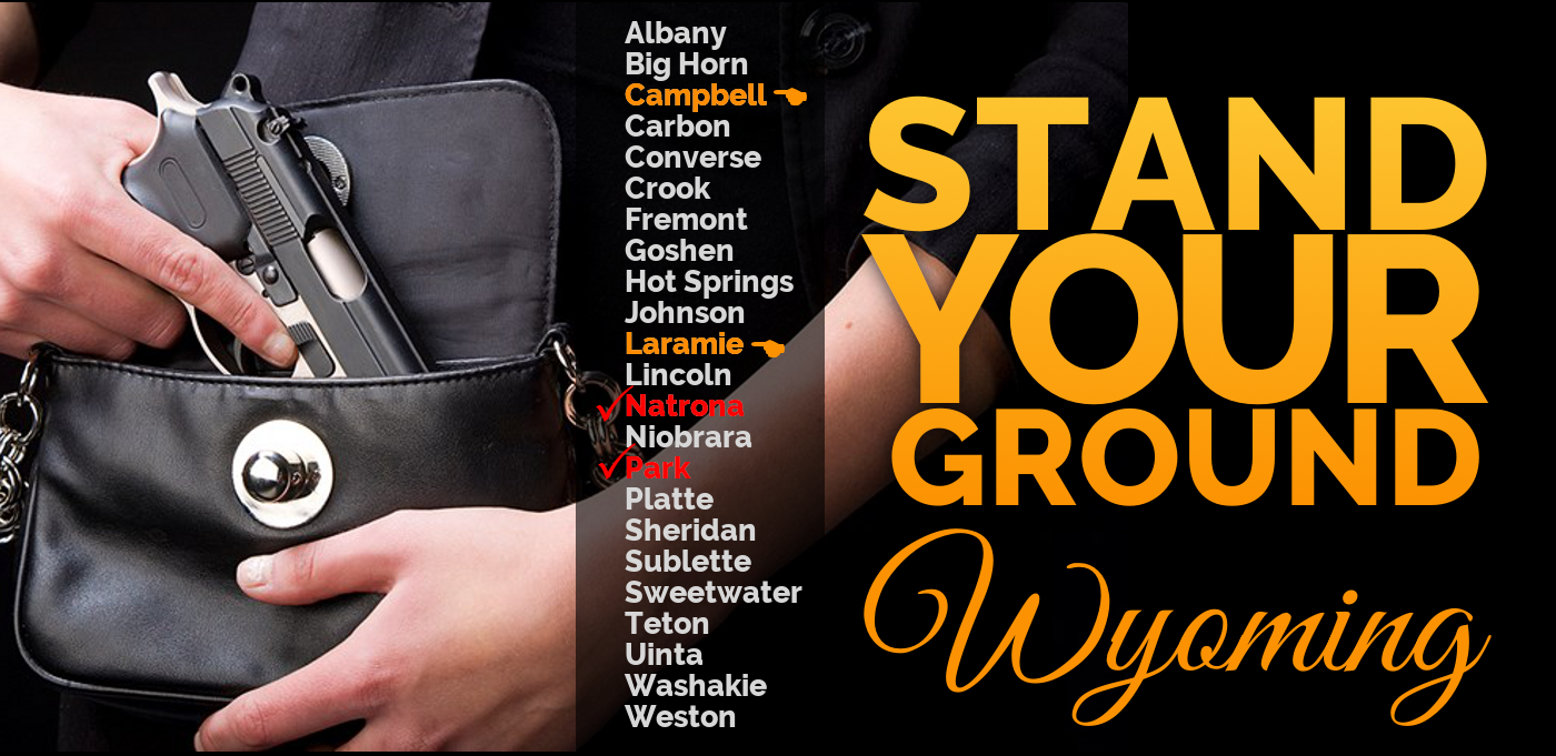 Stand-Your-Ground-2018