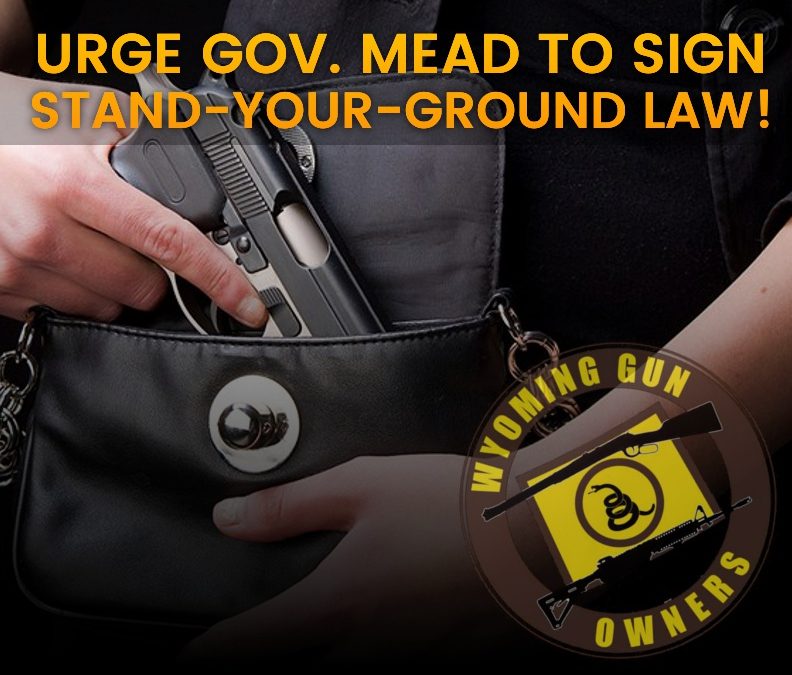 Urge Governor Mead to Sign Stand-Your-Ground Into Law!