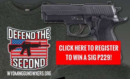 Stand and Fight and Win a SIG P229!