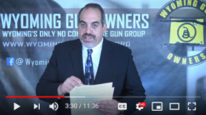 Who Will Fight for Gun Owners as Governor?