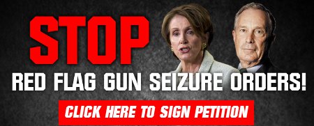 Red Flag Gun Seizures!