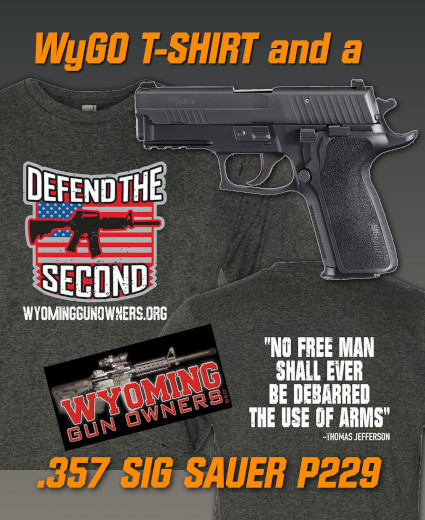Oppose ‘Red Flag Gun Seizures’ and Win a SIG P229!