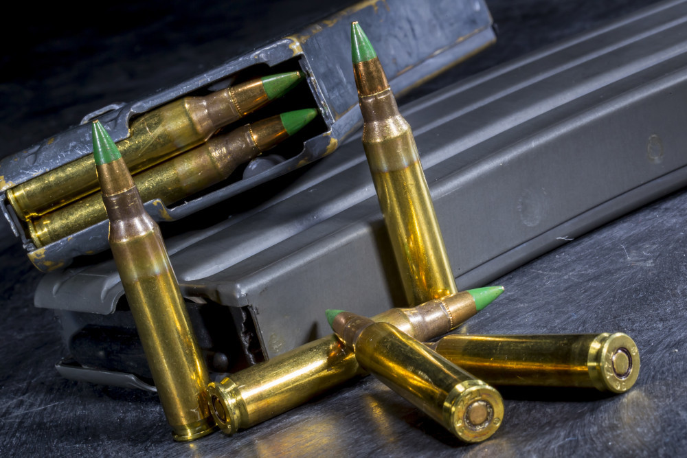 They Want to Register Every Bullet You Own!