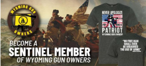 Become a Sentinel Member Today!