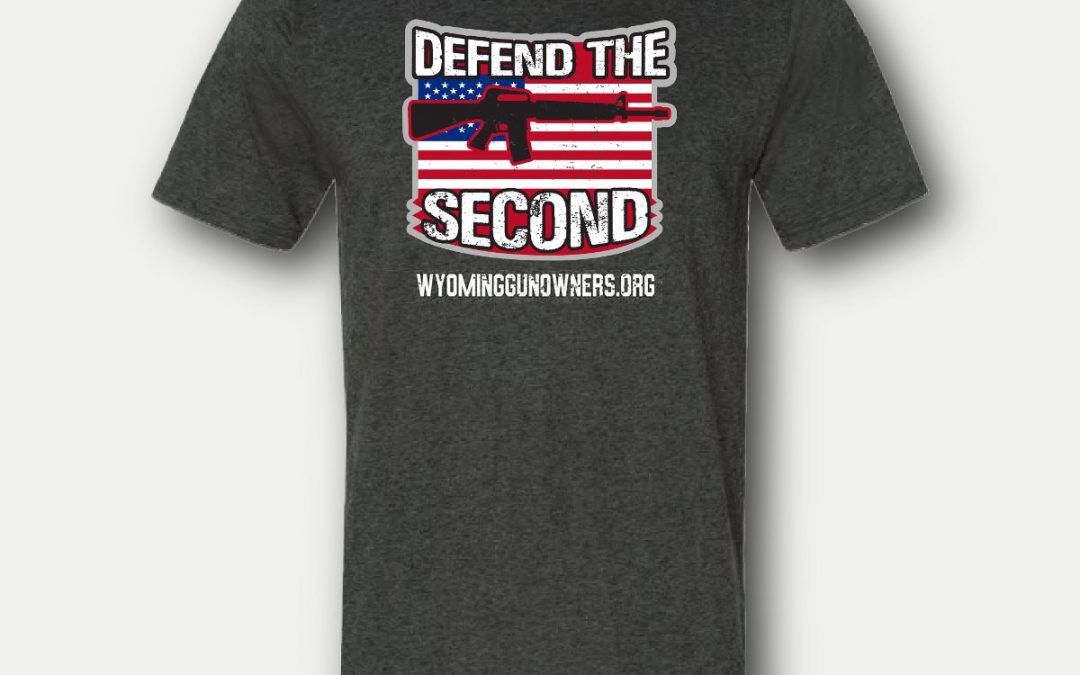 Defend the 2nd Premium T-Shirt