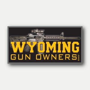 Decal 10-pack