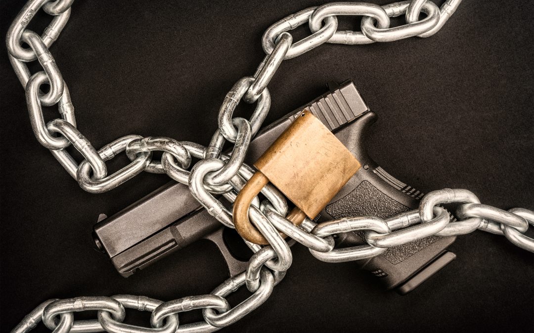 Emergency: Gun Control Hearings Happening TOMORROW!