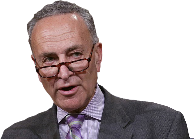 Take Action: Schumer Moving Fast on Red Flag Gun Seizures!