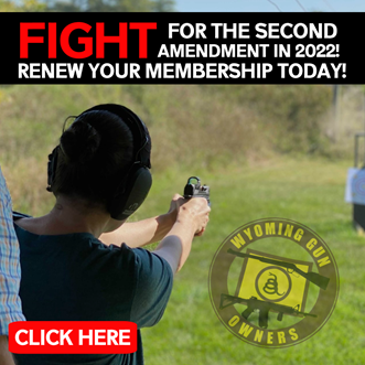 Be an American and Stay Defiant!