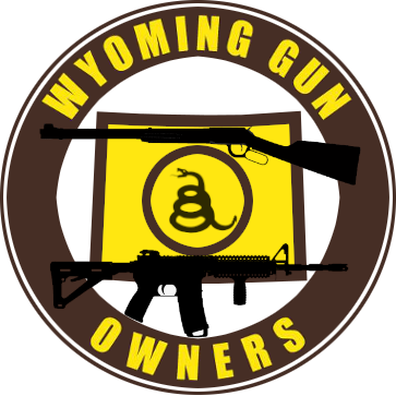 Gun Rights 2022: Where Should We Focus?