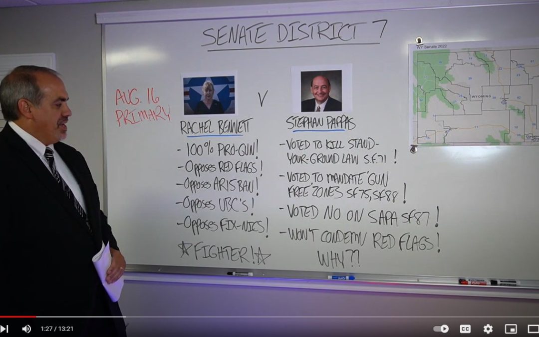 Video: Three Gun Control Votes Stephan Pappas Hopes You Forget!