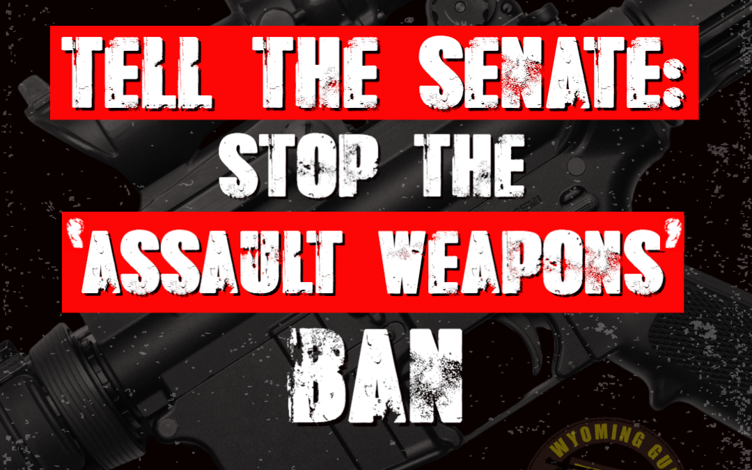 ‘Assault Weapons’ Ban is Their Top Priority!