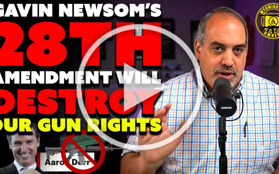 Dangerous: Gov. Newsom Reveals Plans for 28th Amendment!